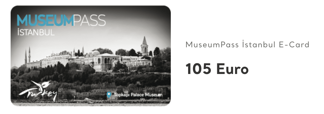 Istanbul Turkey Museum Pass e-card with a skyline view, priced at 105 euro.