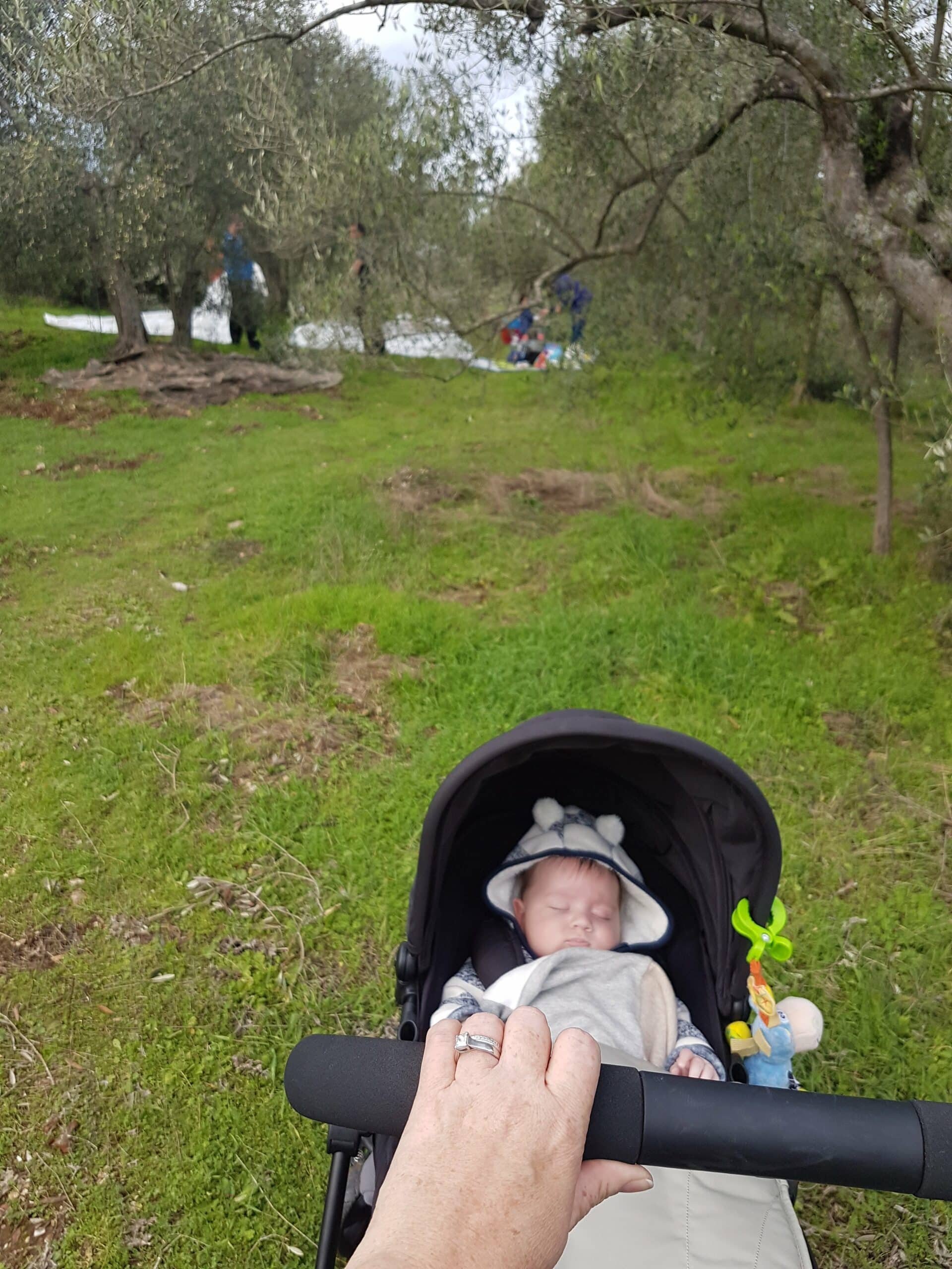 Roko in a travel stroller. Outdoors with people in the background at a park.