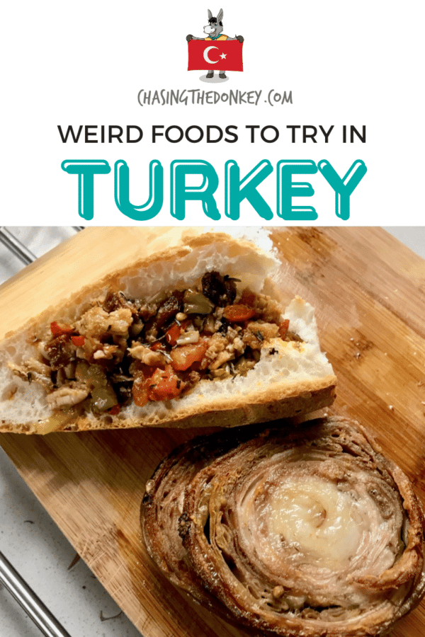 Turkey Travel Blog_Weird Foods I Could Not Try In Turkey