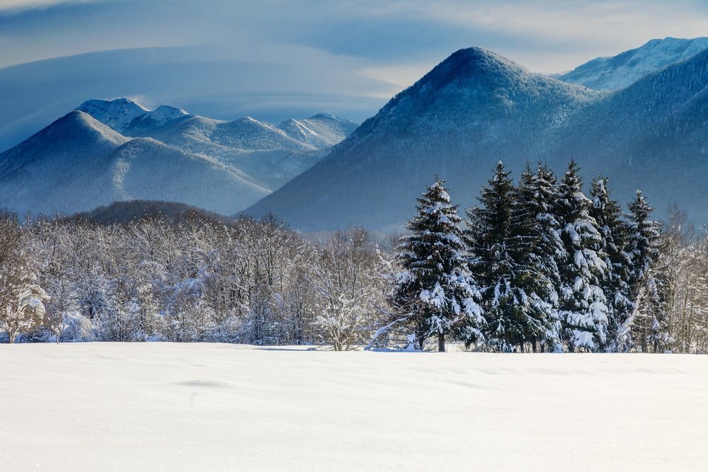 A snow-covered field in Lika with trees in Croatia. Velebit Mountain in the background.
