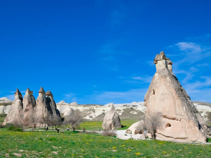 Rock formations with cave entrances in Pasabag Valley, Cappadocia, Turkey set against a blue sky with scattered clouds over a green landscape.