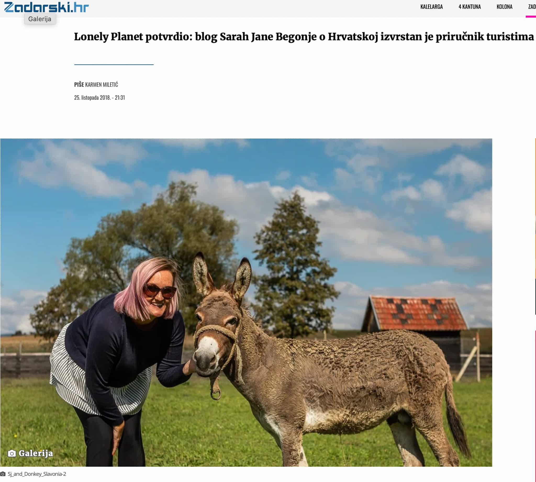 A woman with short hair and glasses smiles while petting a donkey in a grassy field under a clear blue sky for her blog post.