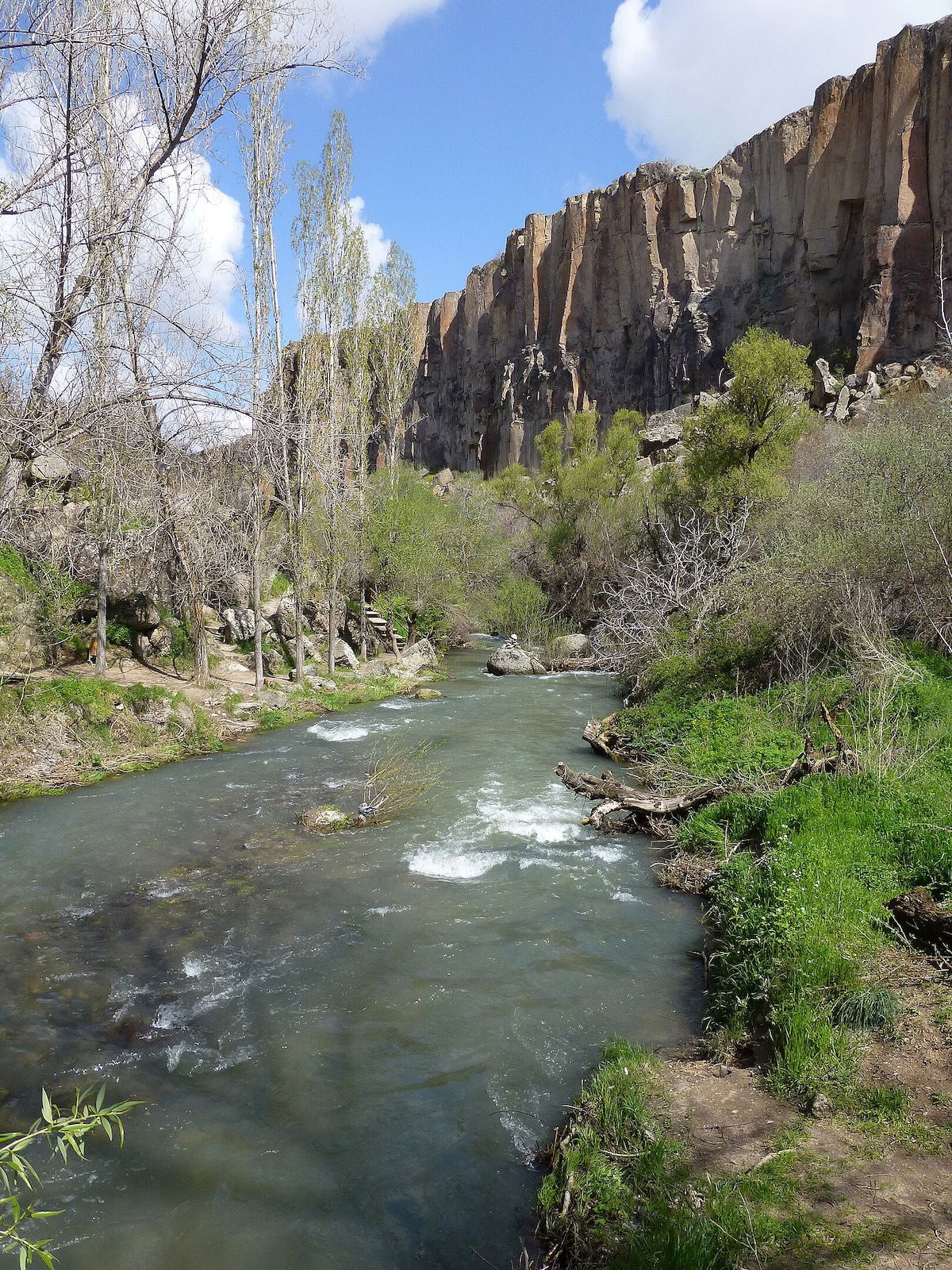 Melendiz river flowing through a lush valley with tall, rugged cliffs on one side under a clear blue sky in Cappadocia