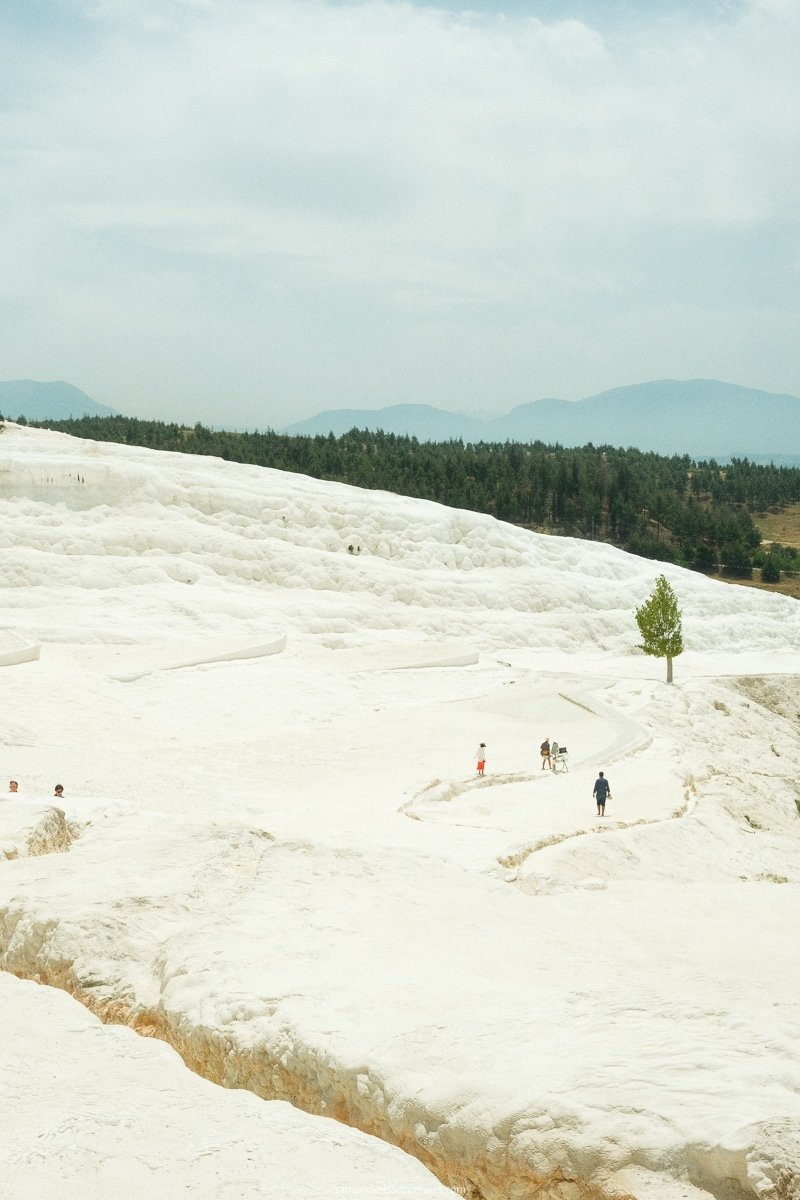 A vast white travertine landscape with scattered people and a solitary tree, set against a backdrop of green trees and distant mountains under a slightly cloudy sky, makes Pamukkale a worthwhile place to visit.