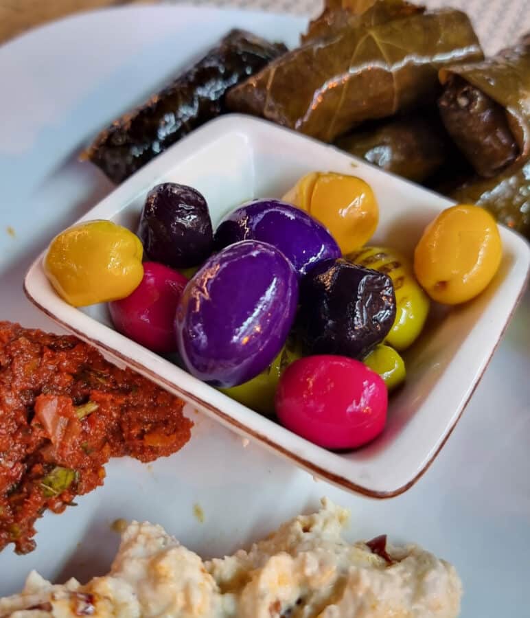 A plate containing an assortment of Mediterranean appetizers including stuffed grape leaves, multicolored olives, and a spread of spicy dip.