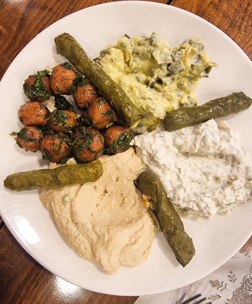A plate of Middle Eastern food including hummus, baba ganoush, stuffed grape leaves, seasoned carrots, and a creamy pasta salad.