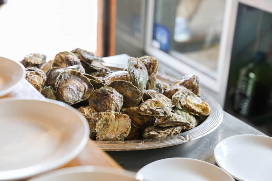 A large platter filled with unopened oysters from Bota Sare is placed on a table, with empty white plates surrounding it, evoking memories of an unforgettable Croatia Oyster Day Trip.