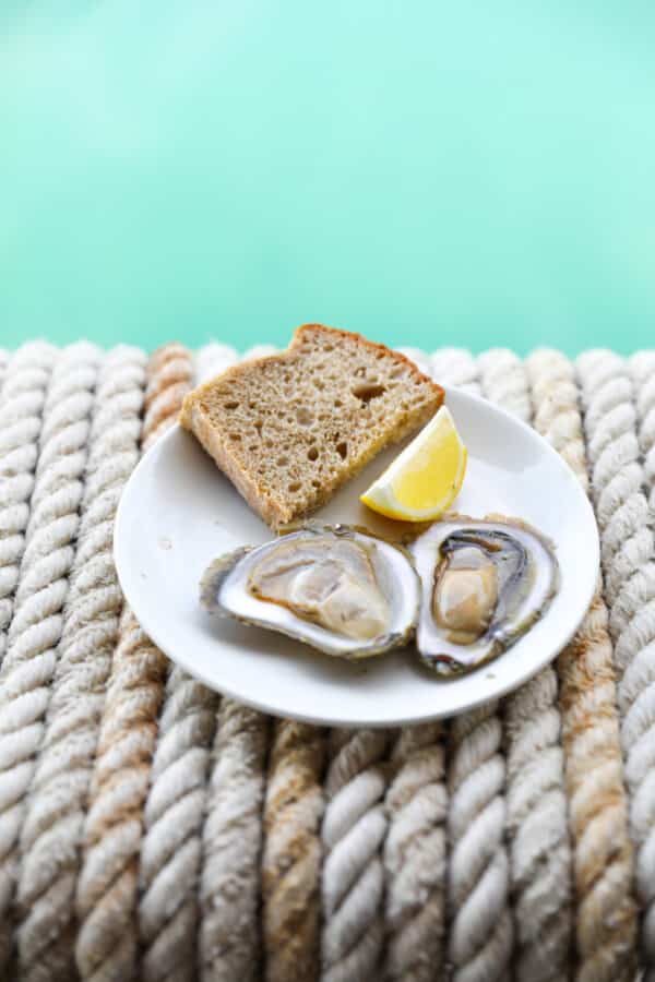 A plate with two oysters, a slice of brown bread, and a lemon wedge rests on a woven rope surface with a turquoise background, reminiscent of a delightful Oyster Day trip to Bota Sare Ston in Croatia.