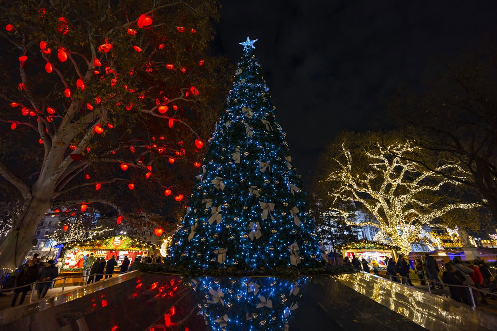 A large Christmas tree adorned with blue lights and a star topper stands in an outdoor area at night. Nearby trees are decorated with red lights, and people are gathered around the display. It’s a scene straight out of a Magical Christmas in Austria, truly one of the Best Places To Visit In Austria.