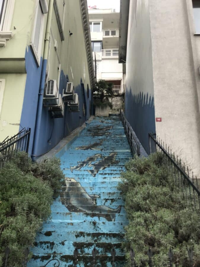 A tall, narrow stairway in Kuzguncuk with blue steps painted with dolphins lies charmingly between two buildings, surrounded by green shrubs.