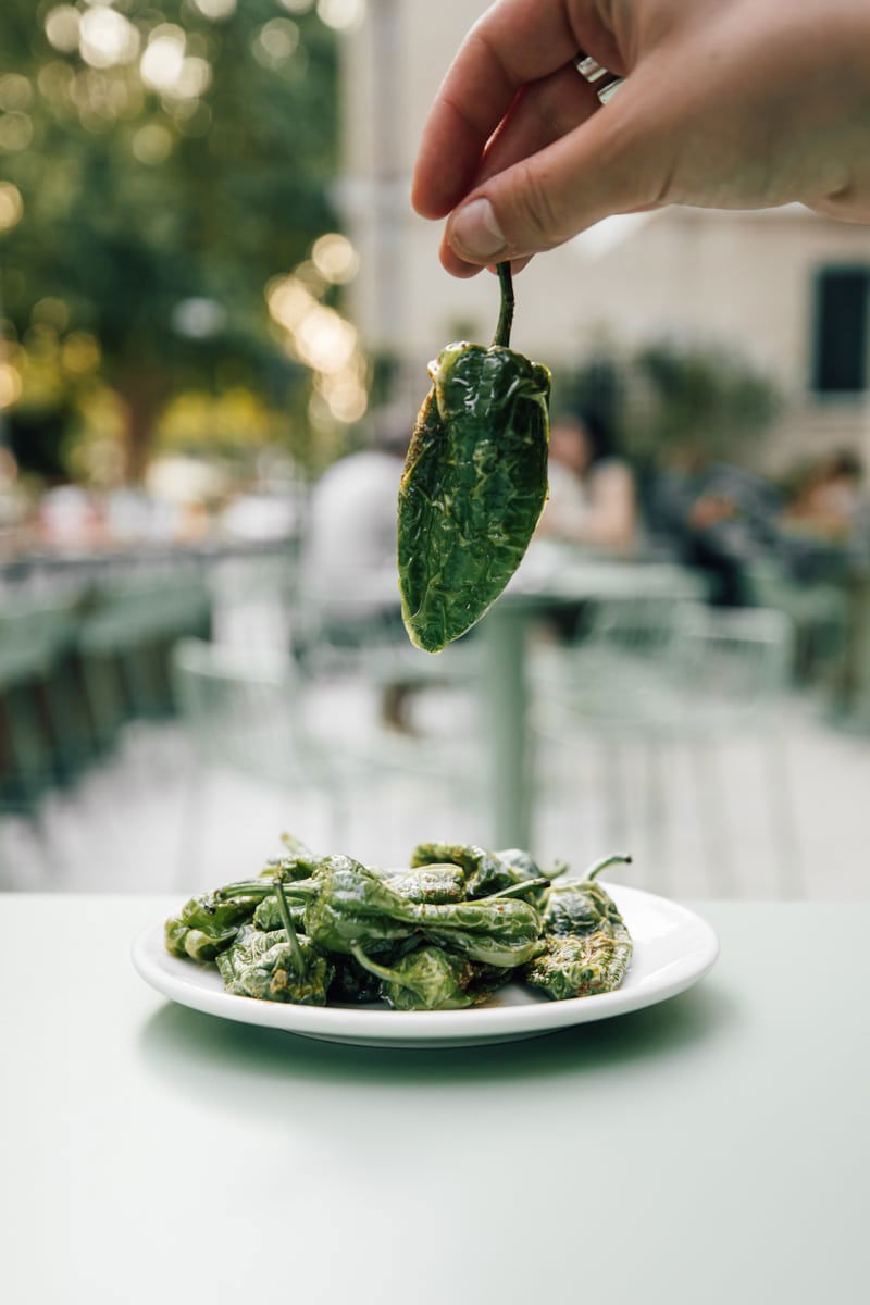 A hand holds a single blistered green pepper above a plate of similar peppers on an outdoor table at Pinčo Tapas & Wine Bar in Zadar.